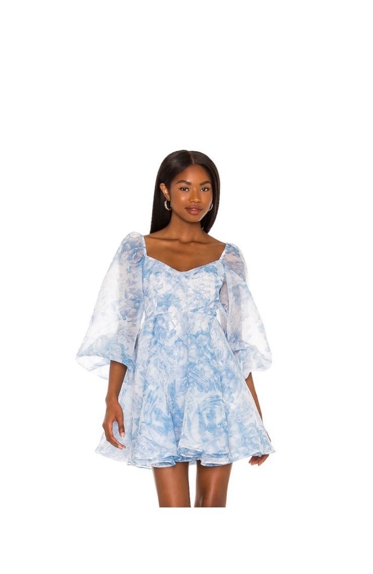 Selkie - The Princess Dress in Baby Blue Toile