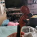 Violin