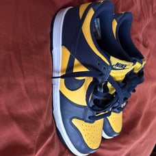 Nike Dunk Low