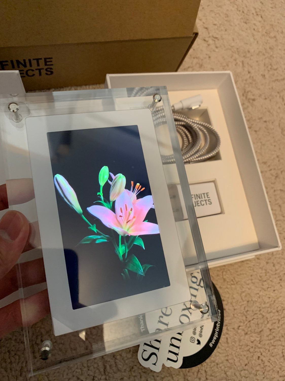 Infinite Objects Small Acrylic Lily Frame