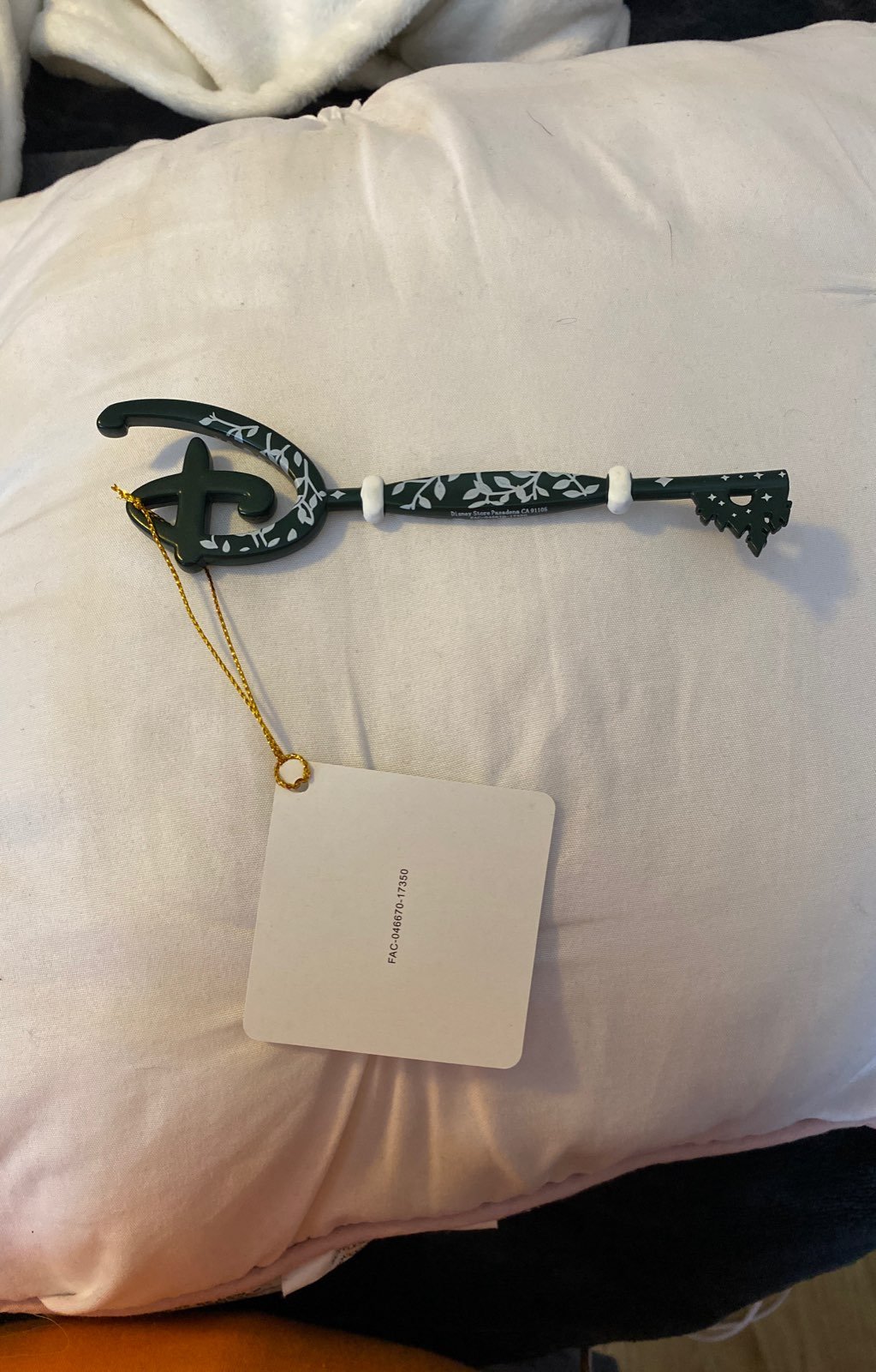 Disney opening ceremony key
