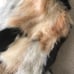 Vintage 1970s Fur Coat