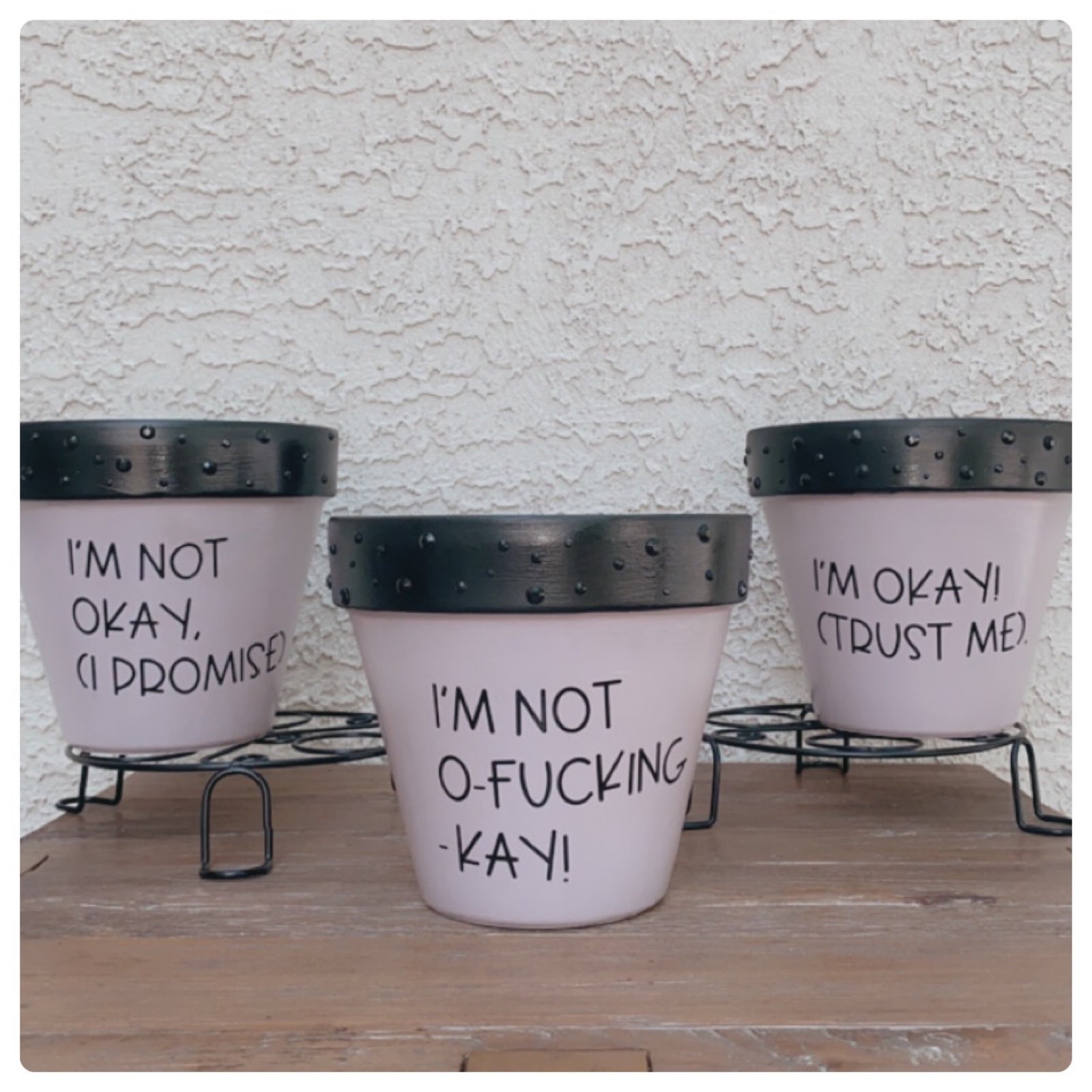 Rare! 3 My Chemical Romance MCR, punny plant pots. Cute Emo Planter Gift. 4.5”