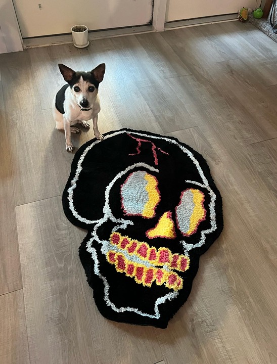 Black Bath Rugs Cartoon Fun Skull Head Area Rug Microfiber Bathroom Mat