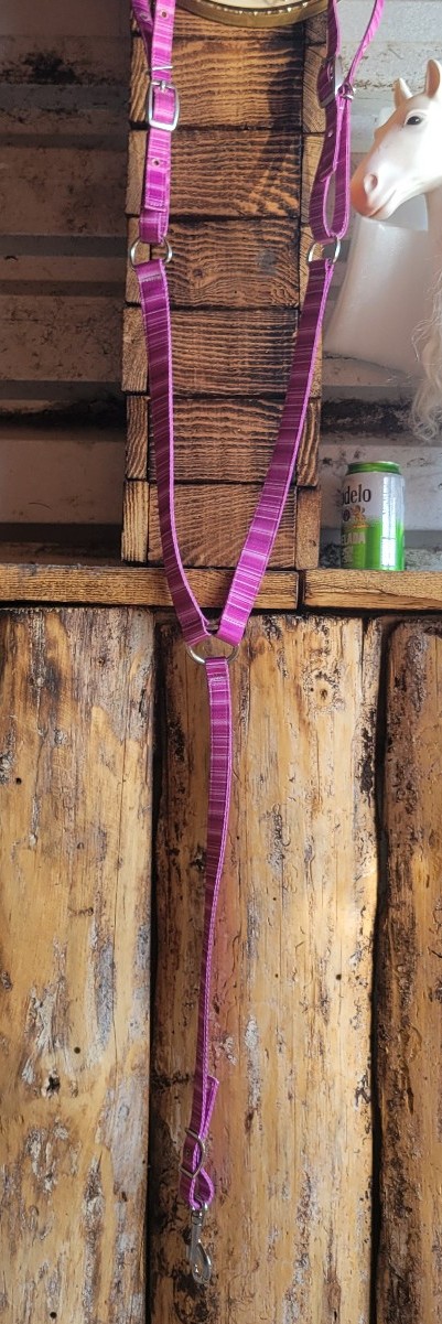 Hot headstalls pink serape breastcollar.