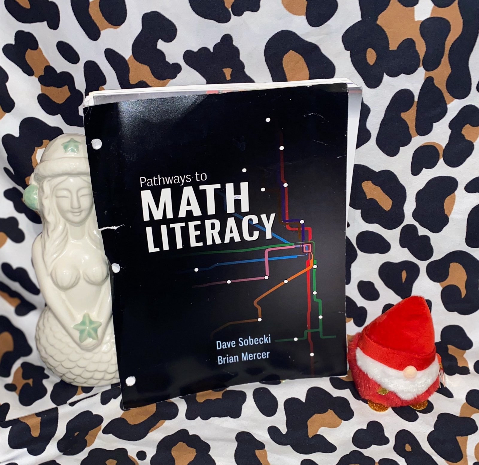 Paperback Pathways to Math Literacy