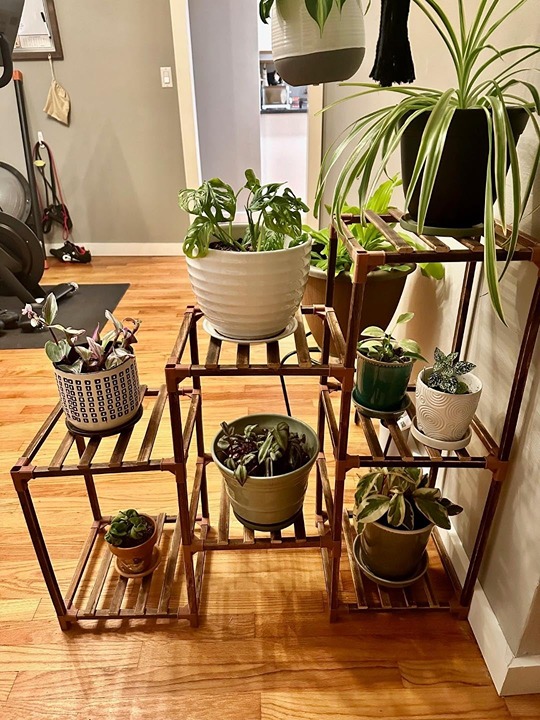 Plant Stand 3 Tiers 7 Pots Wood Plant Shelf Ladder Plant Rack Table