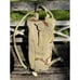 CamelBak Thermobak Desert Camo Hydration Pack 3L