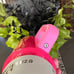Stanley Pink Parade 30oz