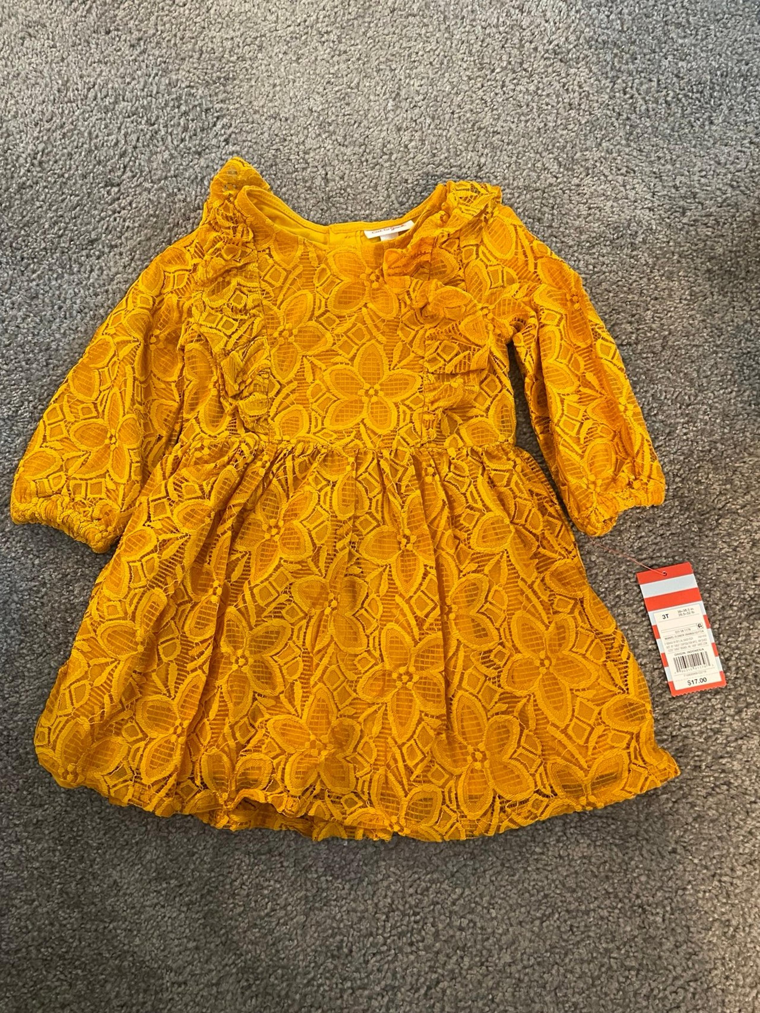 NWT cat and jack dress