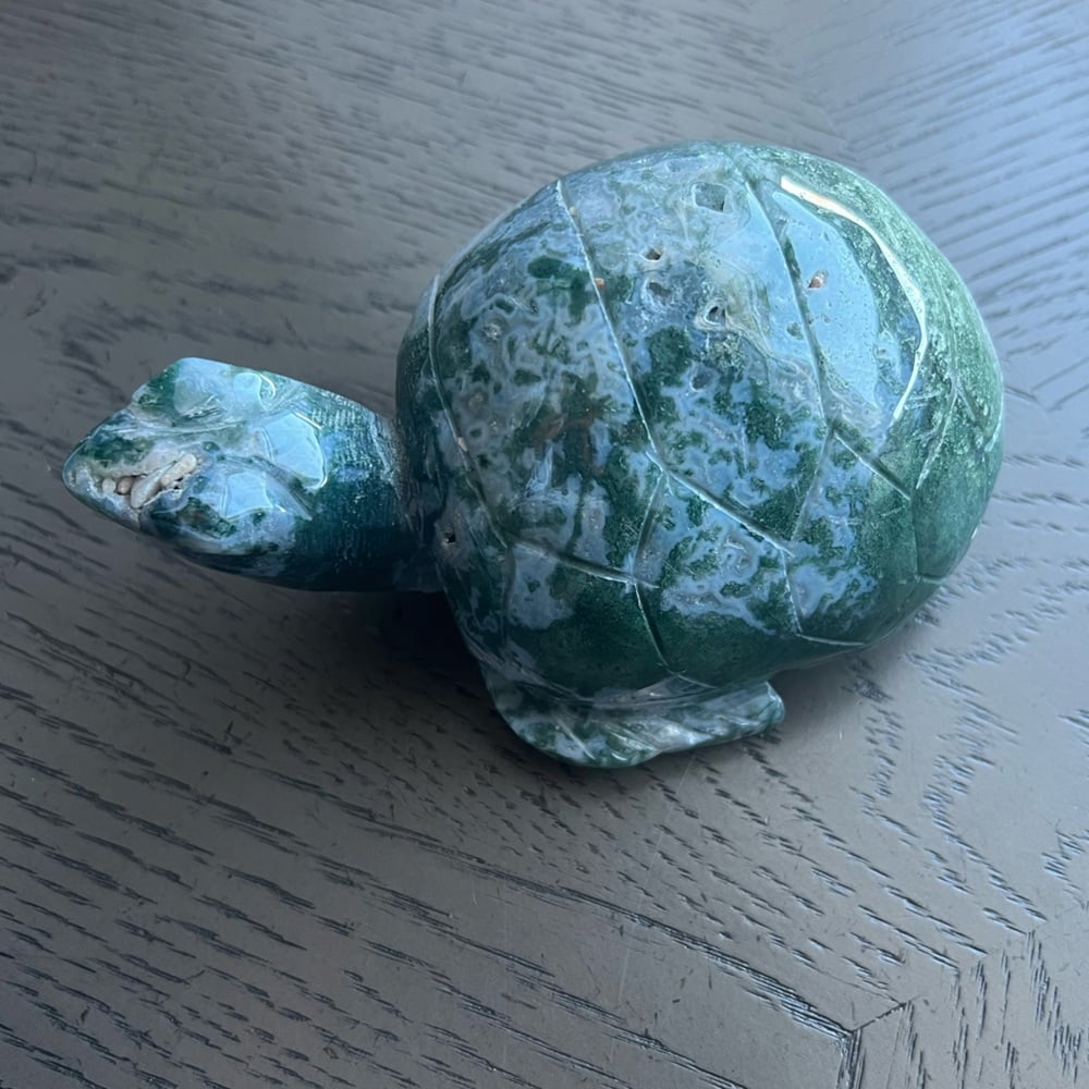 Moss agate turtle