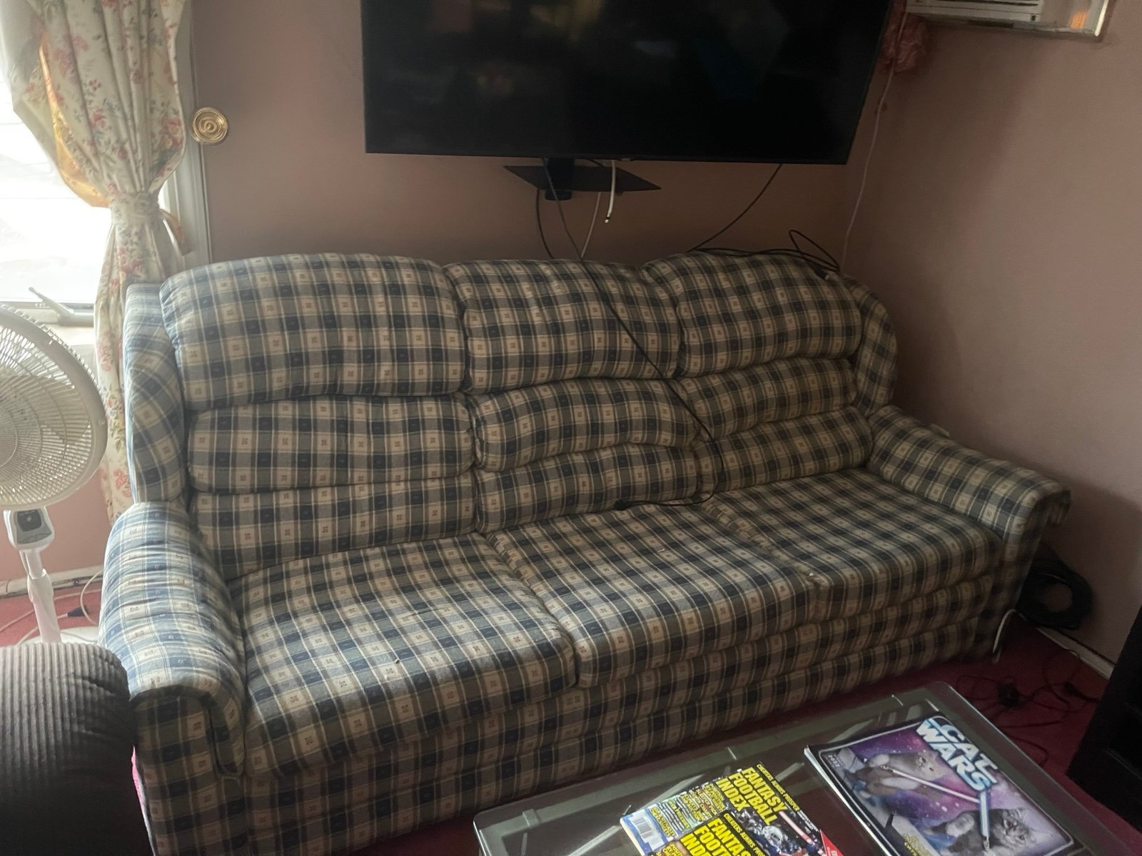 Sleeper sofa and recliner