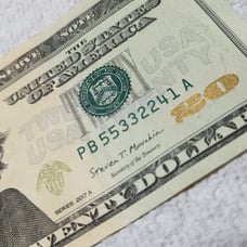 2017-A Fancy 20 Bill