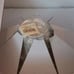 ⭐️LENOX Solitaire 5-pc Ivory & Platinum Place Setting (NIB) (G6)
