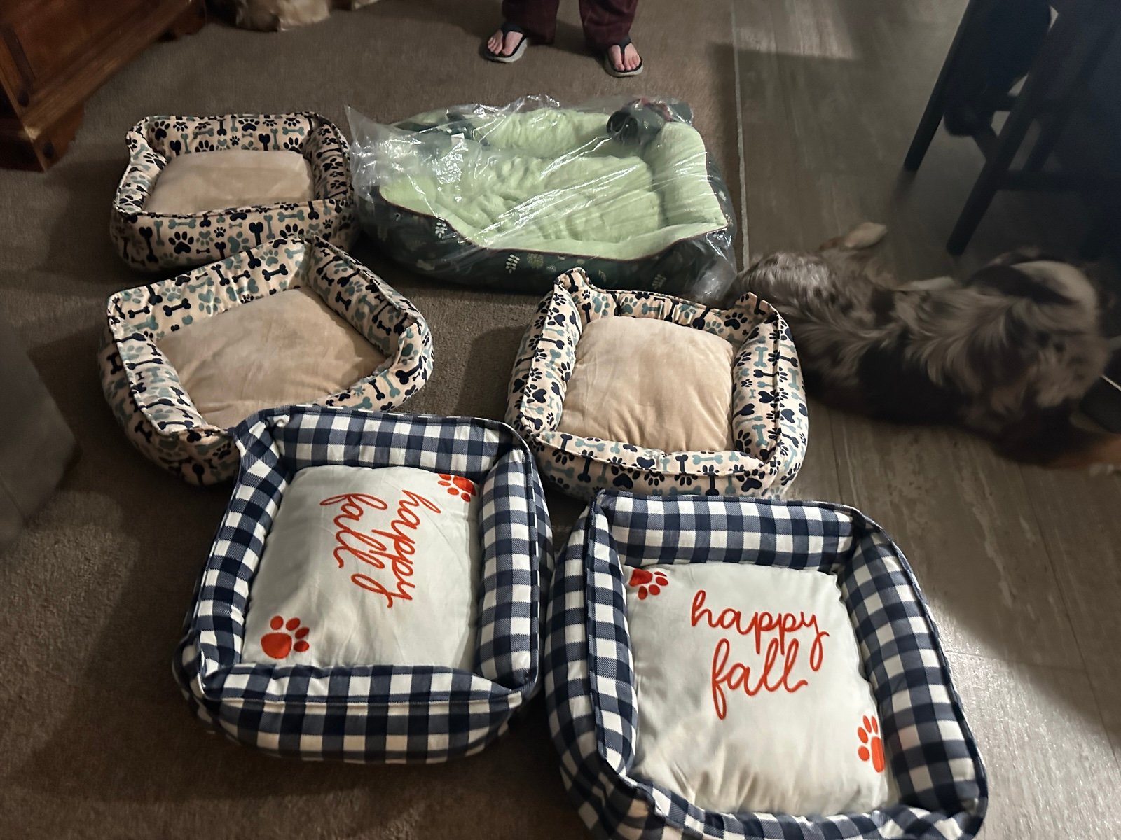 6 dog beds brand new reserved for calypso6830