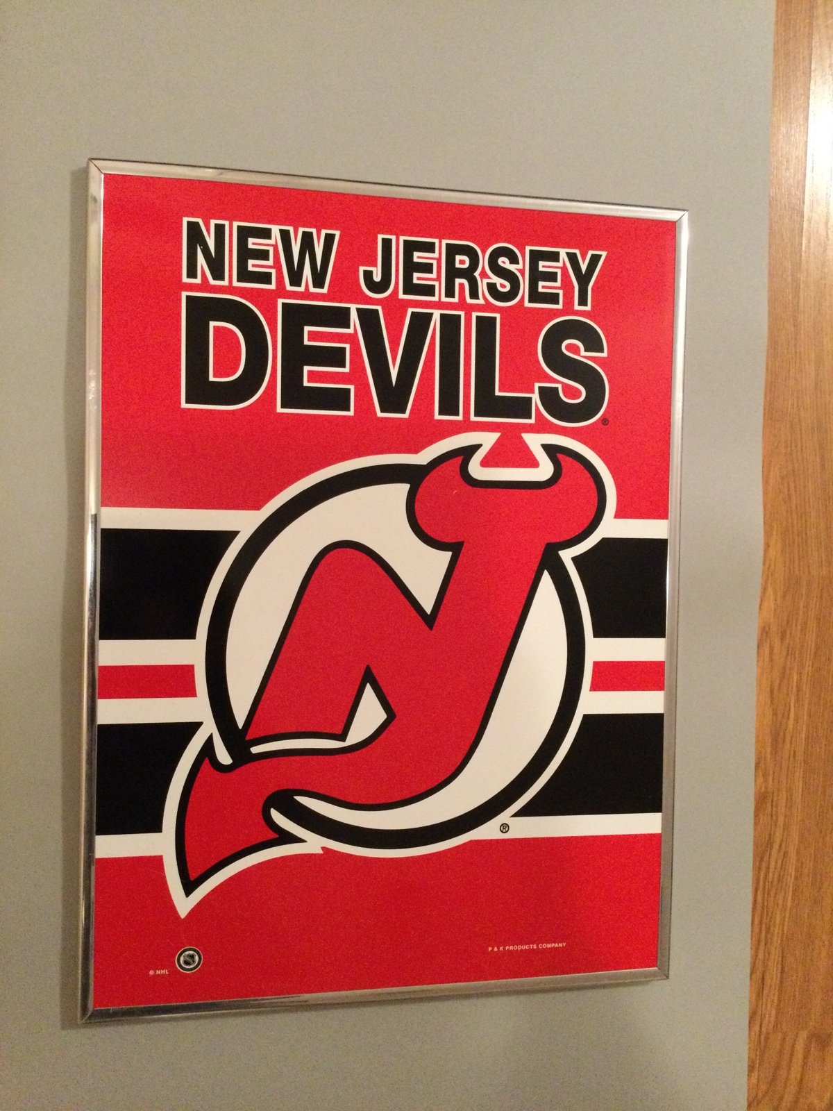 NJ Devils logo picture in frame (19.5” x 14”)