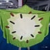 Bluey Themed Watermelon Blanket