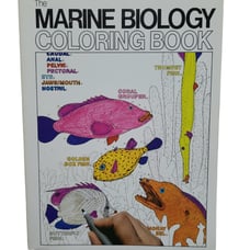 1982 The Marine Biology Coloring Book College Outline by Thomas M. Niesen