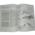 1982 The Marine Biology Coloring Book College Outline by Thomas M. Niesen