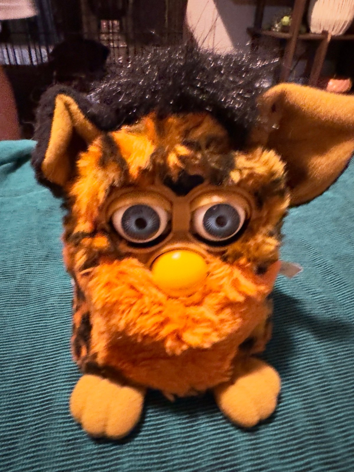 Furby