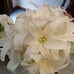 Wedding flowers