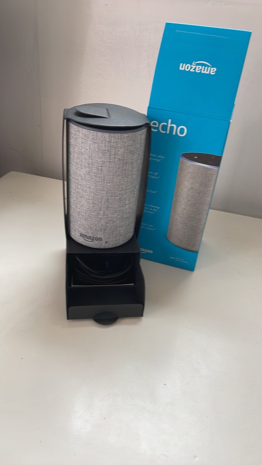 Echo voice command