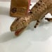 Disney Dinoland Animal Kingdom dinosaur hand puppet and 2 dinosaurs EUC