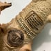 Disney Dinoland Animal Kingdom dinosaur hand puppet and 2 dinosaurs EUC