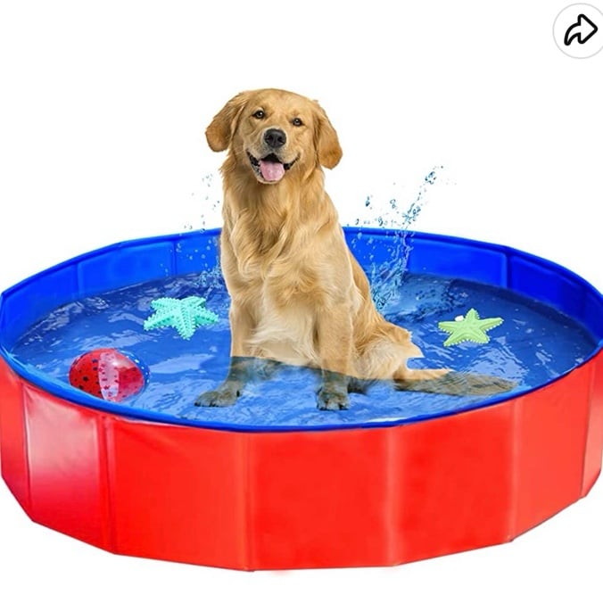 Fold out kiddie or dog pool