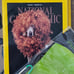 National Geographic Magazine lot EUC