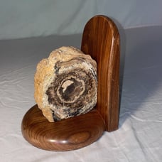 Petrified Wood Bookend