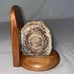 Petrified Wood Bookend
