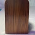 Petrified Wood Bookend