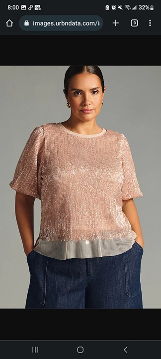 Anthropologie sequined puff sleeve top