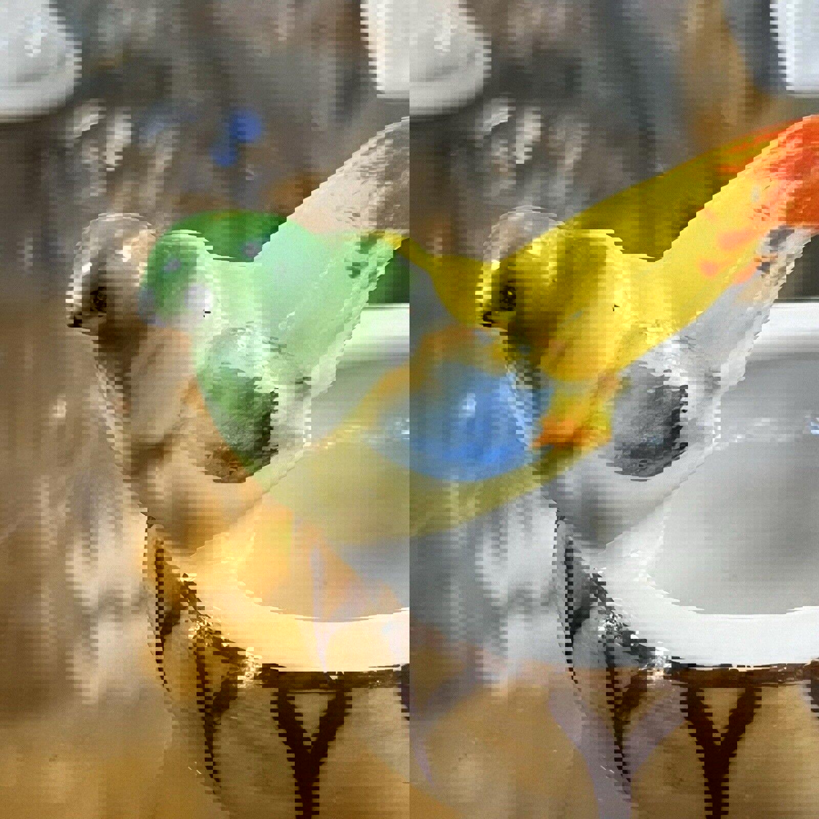Vintage porcelain Parrot Nut, Candy Or Trinket basket Occupied Japan Set Of 2