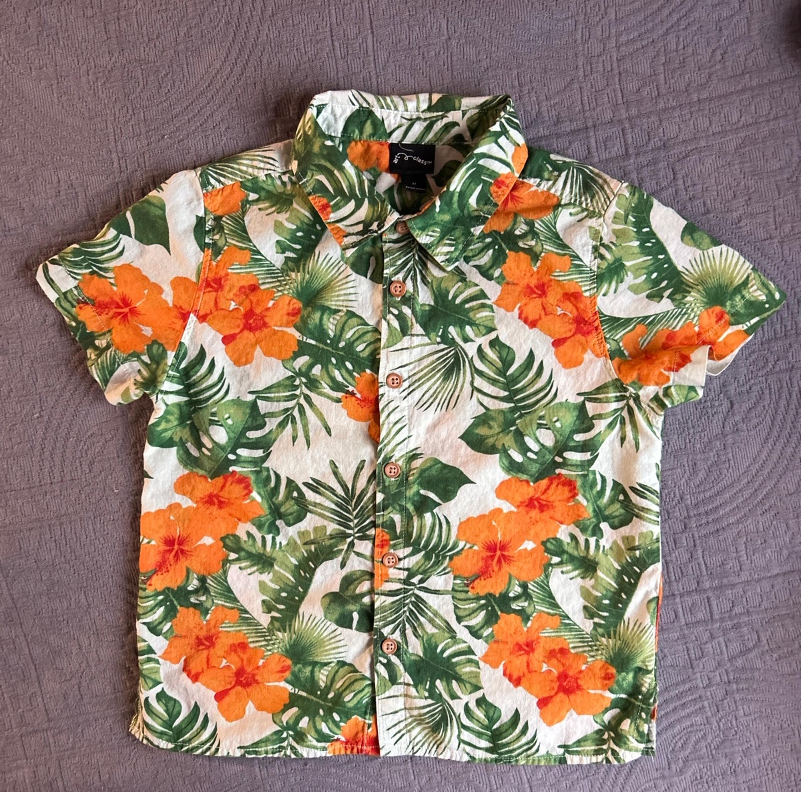 3T Button Down