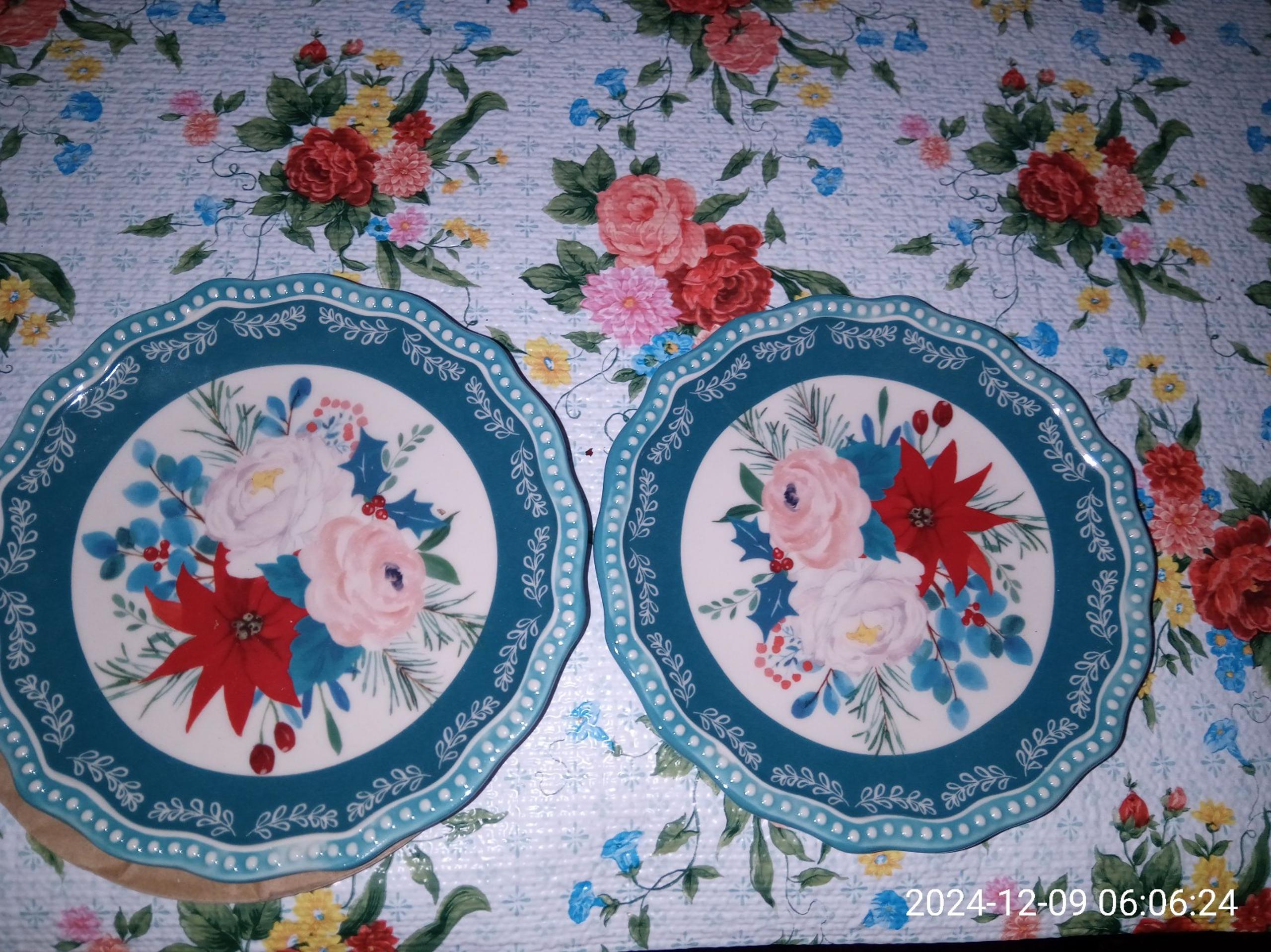 (2) Pioneer Woman Christmas Appetizer Plates Holiday Wishful Winter 6.5" Teal!