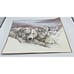 Vtg Doug Lindstrand Alaska Polar Bears Sketch Print Limited Edition Signed 1983