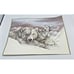 Vtg Doug Lindstrand Alaska Polar Bears Sketch Print Limited Edition Signed 1983
