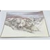 Vtg Doug Lindstrand Alaska Polar Bears Sketch Print Limited Edition Signed 1983
