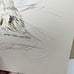 Vtg Doug Lindstrand Alaska Polar Bears Sketch Print Limited Edition Signed 1983