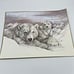 Vtg Doug Lindstrand Alaska Polar Bears Sketch Print Limited Edition Signed 1983