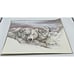 Vtg Doug Lindstrand Alaska Polar Bears Sketch Print Limited Edition Signed 1983