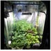Sunlike Full Spectrum Grow Lamp Light