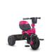 Joovy tricycoo turns into a bike