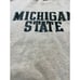 Vintage Michigan State Spartans 80s Fruit of the Loom Crewneck Mens Large