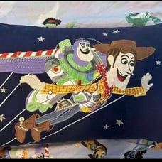 Pottery Barn Kids Disney Toy Story pillow cover