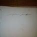 Antique rare book Bible History