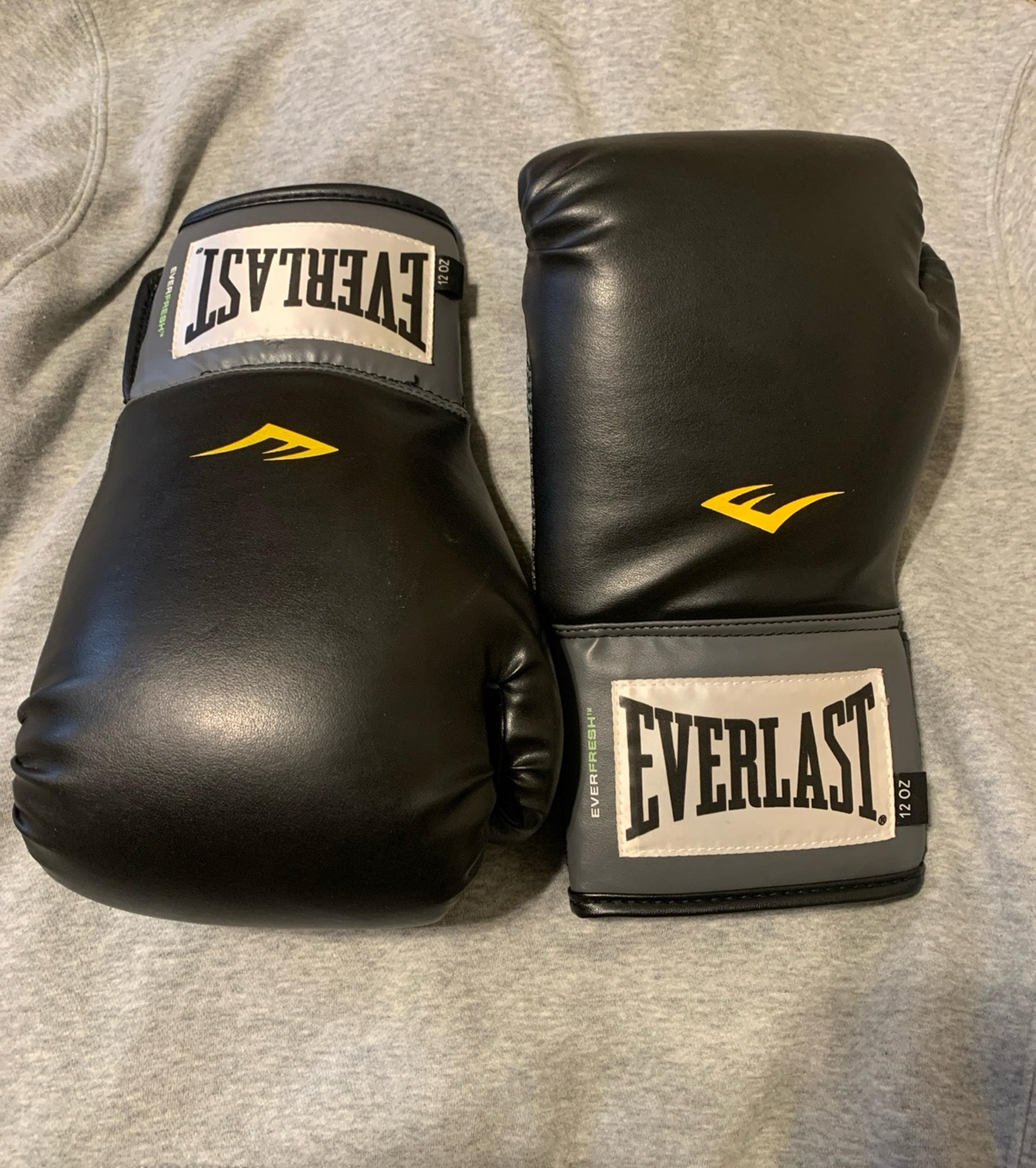 Everlast 12oz Boxing Gloves