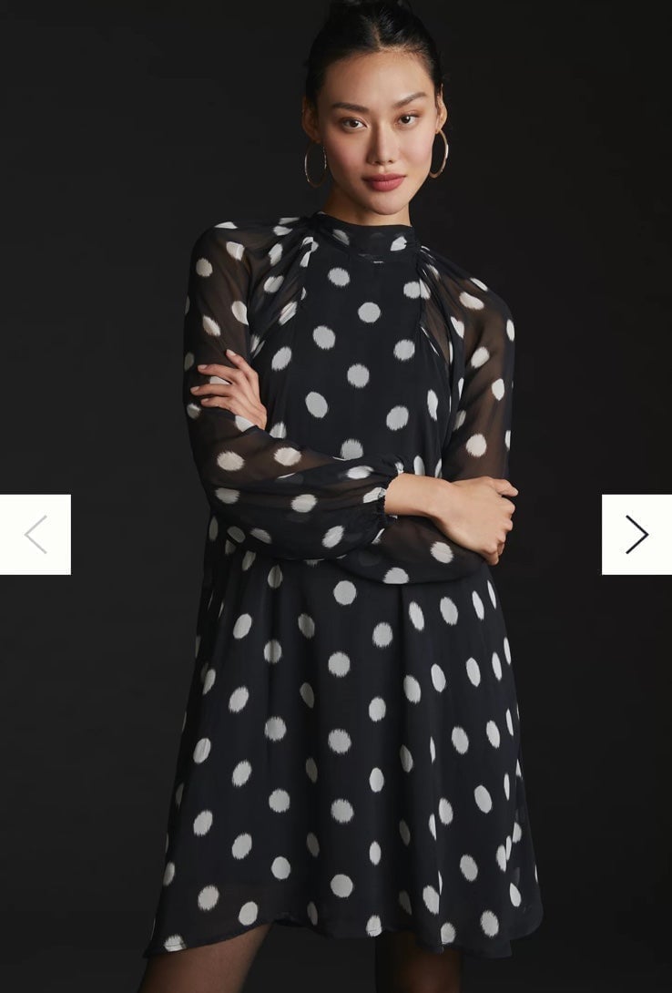 NWT❤️Anthro Maeve Long-Sleeve Sheer Mini Dress szL